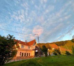 полулюкс четырехместный в Берлога