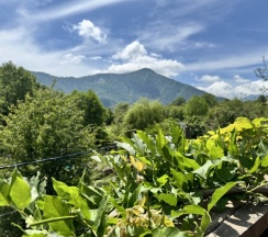 Четырёхместный номер с террасой в Old boys