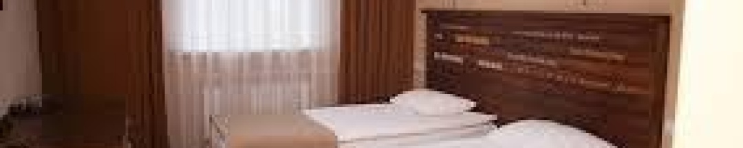 Стандарт в Сова