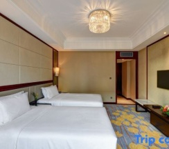 Двухместный номер Superior 2 отдельные кровати в Phoenix Hotel