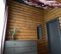 Дом в Twins House