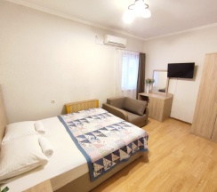 Стандарт  2-х местный (возможно доп. место) в Ника