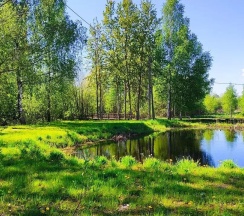 Коттедж эконом в Ильмень