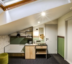 Стандартный Мопс в Mops