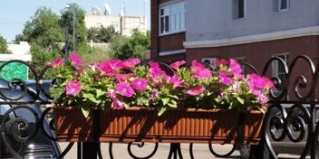 Благовещенск: Отель Глория