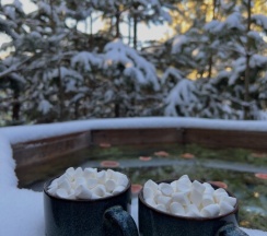 Бельгия в BamBoo Village