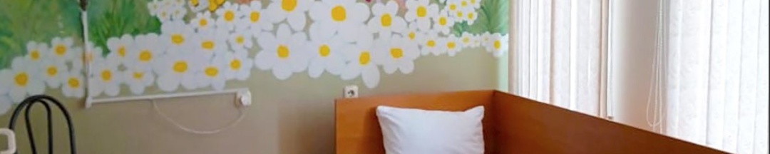 Одноместный номер Эконом в Smart Hotel KDO Курган