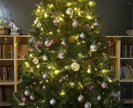 Номер с двуспальной кроватью в Аэропорт