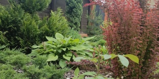 Тула: Мини-отель Гостевой дом