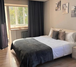 Апартаменты c 1 комнатой в Квартира Rich House на Чапаева 23