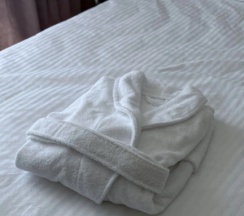 Четырёхместный люкс в Sofitel