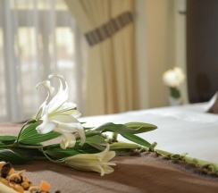 Двухместный номер Standard 2 отдельные кровати в Tecte Guest House