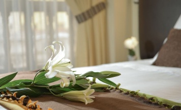 Одноместный номер Standard односпальная кровать в Tecte Guest House