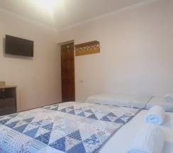 Стандарт "Ника" 3-х местный в Ника