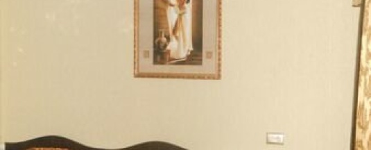 Одноместный полулюкс в Лотос