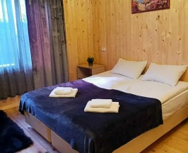 Двухместный номер в Фазенда Долинск