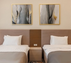 Комфорт с балконом и двумя раздельными кроватями в Minger Med SPA