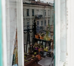 Pups Room в Polosaty space