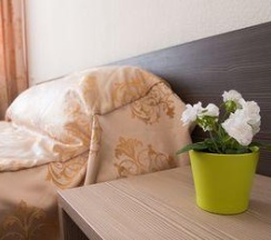 Номер стандарт улучшенный (с завтраком) в Аэроотель