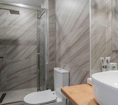 Junior Suite в Лесная ласточка