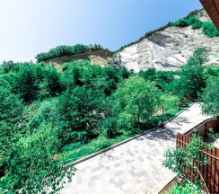 Джуниор сюит улучшенный с террасой Дом №5 в Лесная заимка