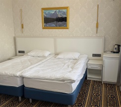 двухкомнатный полулюкс в Саяны