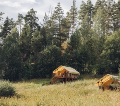ROMANTIC PLUS в Radostland