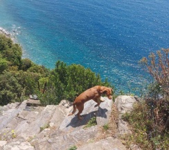 Коттедж в Casa a picco sul mare 5 terre