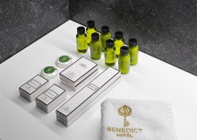 SUPERIOR DOUBLE в Benedict Hotel&Spa