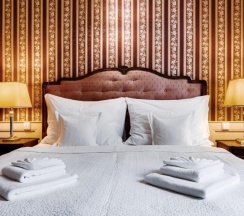 Двухместный полулюкс двуспальная кровать в Hotel Praga 1885