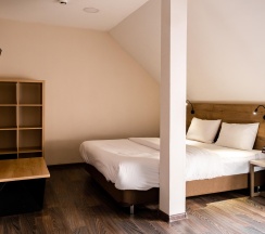 Номер стандарт с 1 двуспальной кроватью в Laska hotel