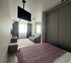 Студия Делюкс (182/174) в Frukty Rent