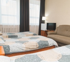 Стандарт, 3х мест. (1 комн.) - (№1, №2, №3) в Новый континент