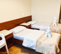 Стандартный двухместный номер с 1 кроватью или 2 отдельными кроватями в Эдельвейс