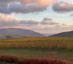 Коттедж премиум в Villa scandi