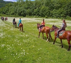 Семейный с балконом с прямым видом на море в Aqualife