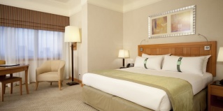 Бахтим: Отель Holiday Inn Cairo Citystars by IHG