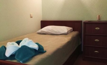 1-местный номер стандарт в Travel