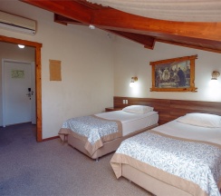 Стандарт мансардный Twin в Алеша Попович Двор&Лукоморье