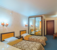 Делюкс с двумя односпальными кроватями в Энергетик