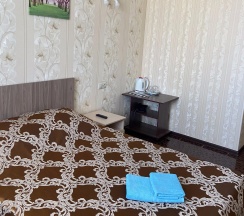 Номер стандарт эконом с 1 двуспальной кроватью в Залесный