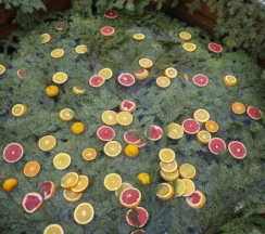 Garden-4 NEO | Банный чан и баня в Барские Поля