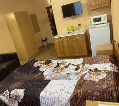 1-местный номер комфорт улучшенный в Park Hotel