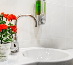 DBL standart (provence) в Авита
