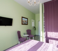 Улучшенный с балконом в Серый гусь