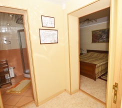 Номер стандарт с 1 двуспальной кроватью в Ломовка