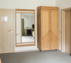 Standard plus в Welna Eco Spa Resort