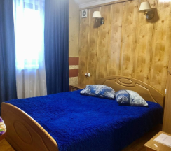 Стандартный номер в Визит Плюс&Авиатор