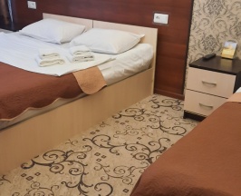 Трехместный номер в Старый кот