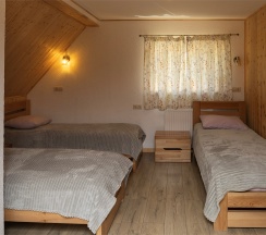 Стандарт в Паит